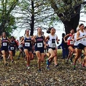 Meet your Posher, Kaylee